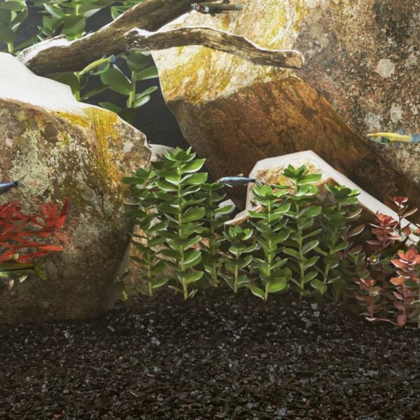 Rodomas prekėsprodukto vaizdas 2 i&scaron; 5