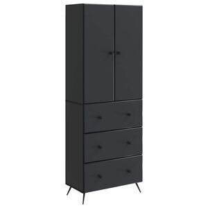 vidaXL Spintelė 2 pcs Juoda 66 x 34,5 x 90 cm Apdirbta mediena