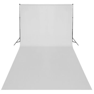 vidaXL Rinkinys fotostudijai, baltas fonas 600x300cm ir šviestuvai