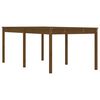 vidaXL Sodo stalas, medaus rudas, 203,5x100x76cm, pu&scaron;ies masyvas