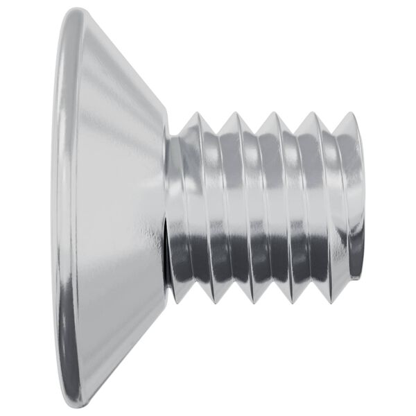 vidaXL Įsukamo galvutės varžtai 2 pcs Sidabro M4 x 6 mm Plienas