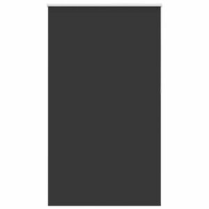 vidaXL roletas juodas 125x230 cm audinio plotis 121,6 cm poliesteris