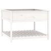 vidaXL Lovelis su lentyna, baltas, 111,5x111,5x81cm, pušies masyvas