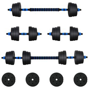 vidaXL 2-in-1 hantelių rinkinys 30kg Juoda ir mėlyna