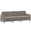 vidaXL Trivietė sofa su pagalvėmis, &scaron;viesiai pilka, 210cm, aksomas