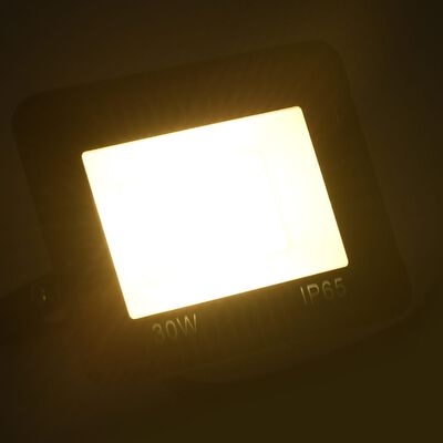 vidaXL LED prožektorius, šiltos baltos spalvos, 30W