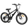 vidaXL Kids Mountain Bike 20 Colių 6-Speed 5-8 metų amžiaus Juoda