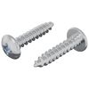 vidaXL Mediniai varžtai 2 vnt. Sidabrinė M4 x 20 mm Plienas