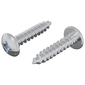 vidaXL Mediniai varžtai 2 vnt. Sidabrinė M4 x 20 mm Plienas