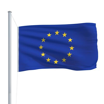 vidaXL Europos Sąjungos vėliava su stiebu, aliuminis, 6,2m