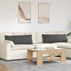 vidaXL Sofa Pagalvės 2 pcs Tamsiai pilka 120 x 40 cm