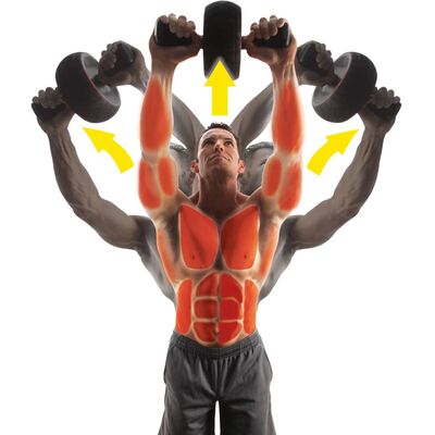 Iron Gym Pilvo raumenų ratukas Speed Abs IRG013