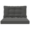 vidaXL Lauko sofa pagalvėlė 2 pcs Antracitas Poliesteris