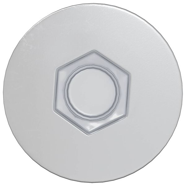 vidaXL Confirmat varžtai 2 pcs Sidabro &Oslash;7 x 50 mm Metalas