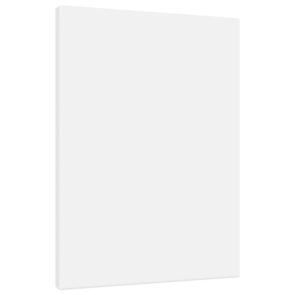 vidaXL Įtemptos drobės, 12vnt., baltos, audinys ir pu&scaron;ies masyvas