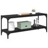 vidaXL Televizoriaus spintelė Juodas ąžuolas 100x33x41cm