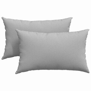 vidaXL Sofa Pagalvės 2 pcs Debesų pilka 50 x 30 cm audinys