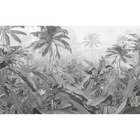 Komar Fototapetai Amazonia, juodai balti, 400x250cm