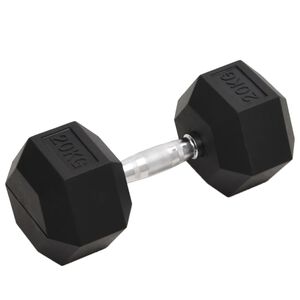 vidaXL Svarmuo, 20kg, ketus