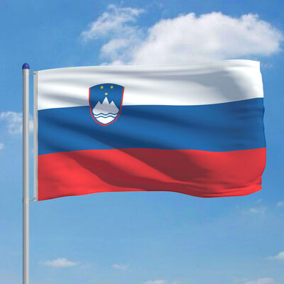 vidaXL Slovėnijos vėliava su stiebu, aliuminis, 6m