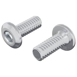 vidaXL Galvos užrakto varžtas 2 pcs Sidabro M6 x 15 mm Plienas