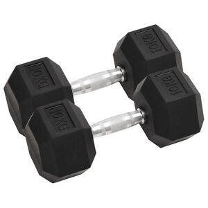vidaXL Svarmenys, 2vnt., 10kg, viso liejinis geležis