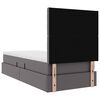 vidaXL Lova su daiktų laikymo vieta ir LED su LED Pilka 100 x 200 cm