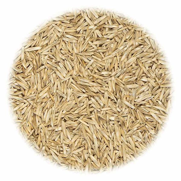 vidaXL Vejos sėklos sporto ir žaidimų aikštelėms, 30kg