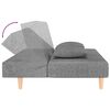 vidaXL Dvivietė sofa-lova su dvejomis pagalvėmis, pilka, audinys