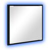 vidaXL LED vonios veidrodis Juodas ąžuolas 40 x 37 x 8.5 cm