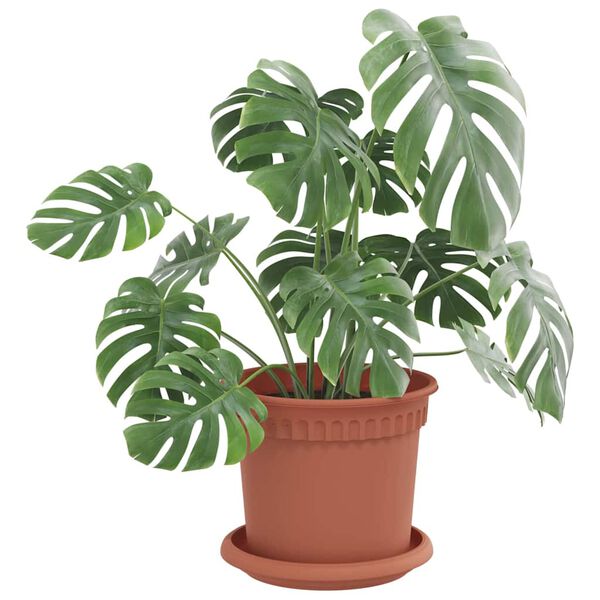 vidaXL Apvalus gėlių padėklas 24 pcs Raudona plyta &Oslash; 14 x 2 cm