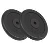 vidaXL Svoriai, 2vnt., 2x20kg, ketus