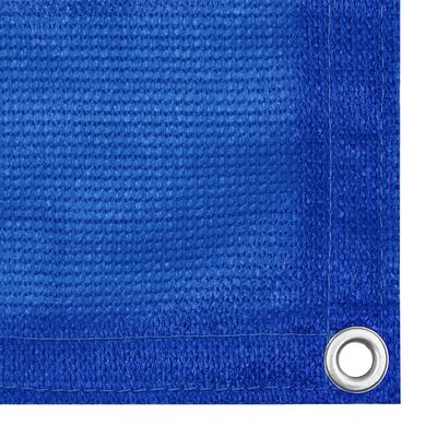 vidaXL Palapinės kilimėlis, mėlynos spalvos, 250x450cm