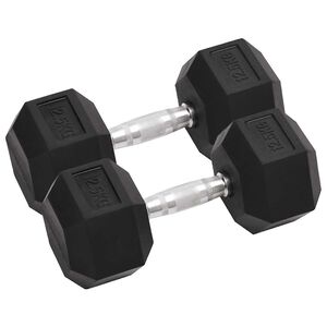 vidaXL Svarmenys, 2vnt., 12,5kg, viso liejinis geležis