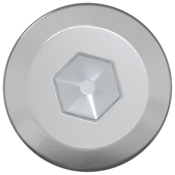 vidaXL Mediniai varžtai 12 pcs Sidabro M6 x 70 mm Plienas