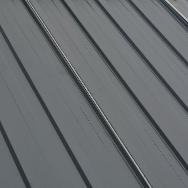 vidaXL Pavėsinė, pilka, 295x295x265cm