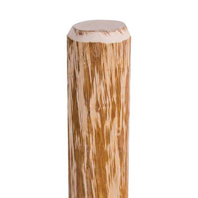 vidaXL Smailūs tvoros stulpai, 4vnt., 120cm, lazdyno mediena