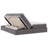 vidaXL Lova su daiktų laikymo vieta ir čiužiniu Pilka 200 x 200 cm