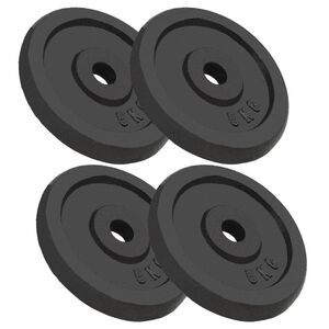 vidaXL Svoriai, 4vnt., 4x5kg, ketus