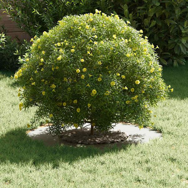 vidaXL tinkamas plok&scaron;tiems medžio žiedams 5 pcs Balta &Oslash;30 / 60 cm