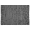 vidaXL Vidaus ir lauko kilimas PALMERAS Antracitas 170 x 120 cm