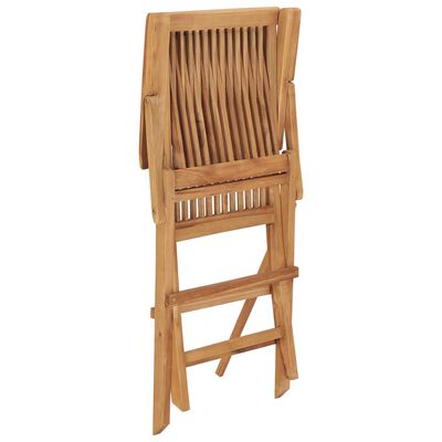 vidaXL Sulankstomos sodo kėdės, 2vnt., tikmedžio medienos masyvas
