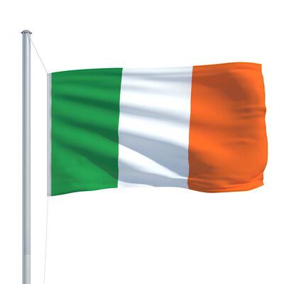 vidaXL Airijos vėliava, 90x150cm