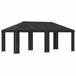 vidaXL Sodo Paviljonas 6 x 3 m Antracito Poliesteris ir plienas