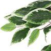 Prekės miniatiūra 3 i&scaron; 5