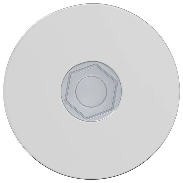 vidaXL Varžtas 2 pcs Cinkuota 5 x 40 mm Geležis