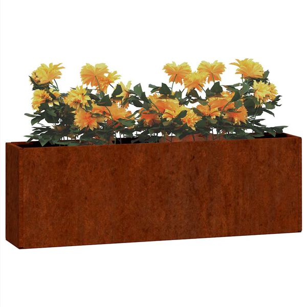 vidaXL Sieniniai loveliai, 2vnt., rūdžių, 53x10x17cm, Corten plienas