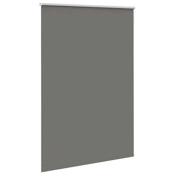 vidaXL roletas smėlio Pilka 150x210 cm audinio plotis 146,6 cm