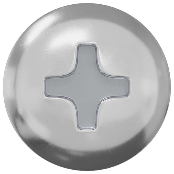 vidaXL Varžtas 2 pcs Sidabro 9,8 x 35 mm Geležis