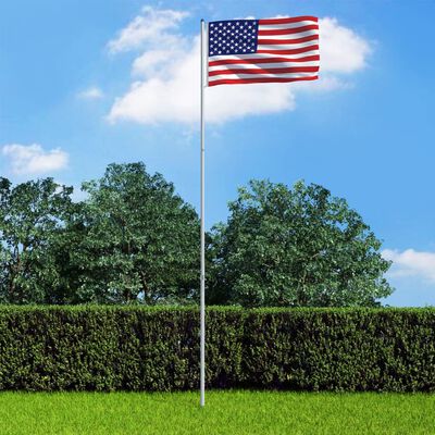 vidaXL JAV vėliava su stiebu, aliuminis, 6m